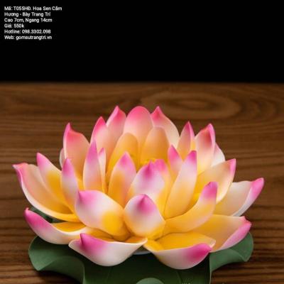 HOA SEN CẮM HƯƠNG – BÀY TRANG TRÍ